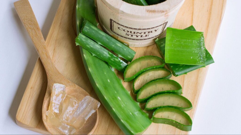 Aloe vera for skin tanning